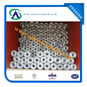 Electro Galvanized Hex Wire Netting/Hexagoanl Wire Mesh